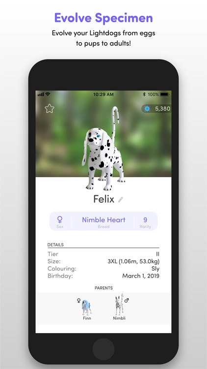 Lightdogs: Unplug & Focus screenshot-5