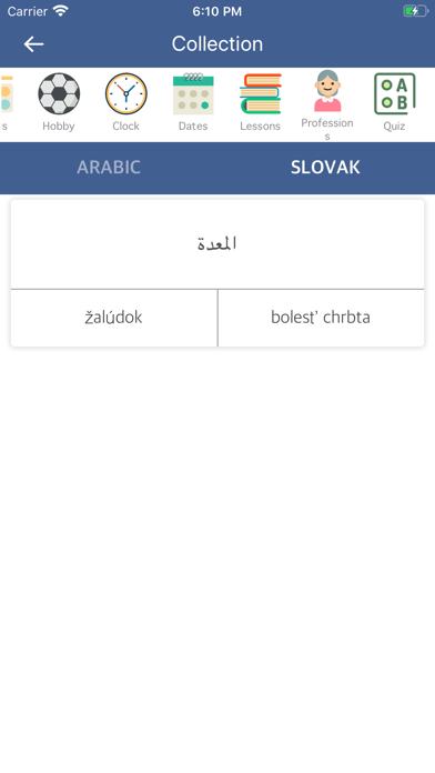 Arabic Slovak Dictionary screenshot 3