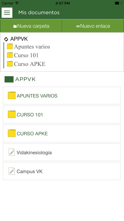 Vidakinesiologia screenshot-3
