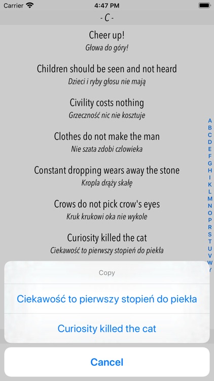 Dictionary of Proverbs screenshot-3