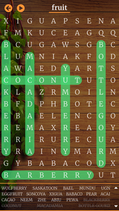 Word Search - Infinite puzzles screenshot 4