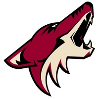 Arizona Coyotes Flashpoint pour PC