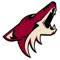 When attending a Coyotes game, be part of the show by using Arizona Coyotes Flashpoint when prompted
