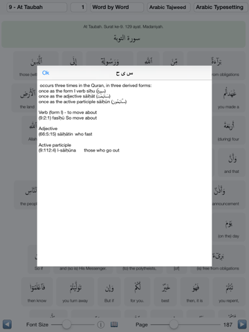 Quran Terjemah Perkata - náhled