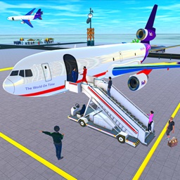 Airplane Flight Flying Sim