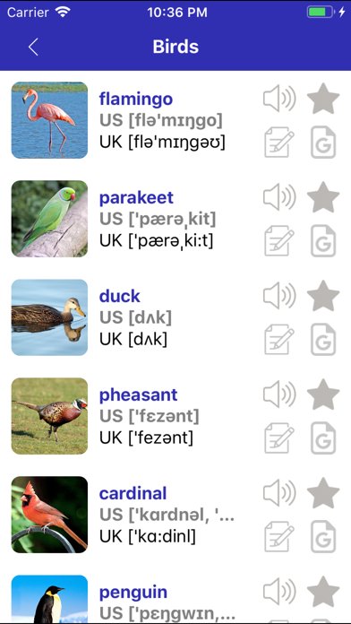 UK and US English Vocabulary screenshot 2