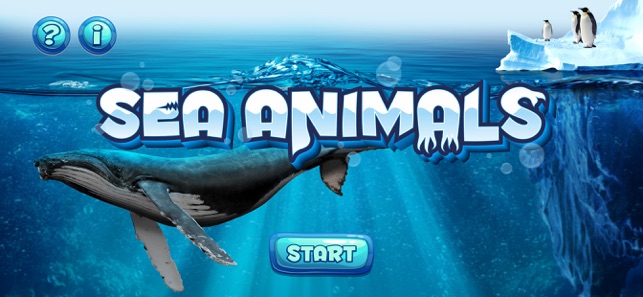 Sea Animals(圖3)-速報App