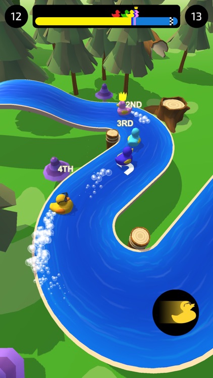 Duck Racing