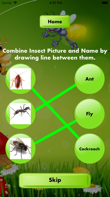 Combine Insects Picture Name screenshot-4