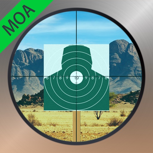 Sniper Master: Gun Shooting