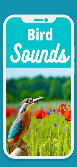 Game screenshot Bird Sounds . hack