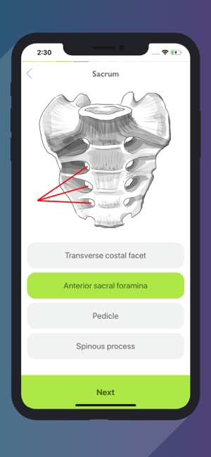 Easy Anatomy - Atlas & Quizzes(圖9)-速報App