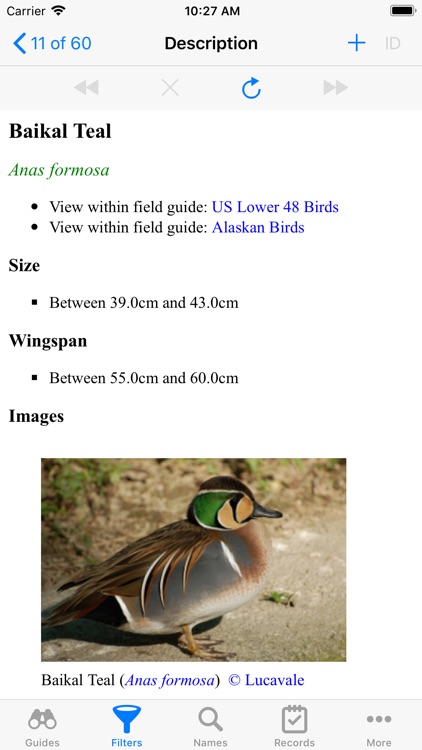 US Birds screenshot-3