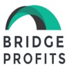 BridgeProfitsConvert