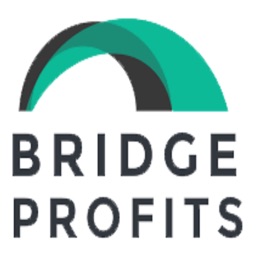 BridgeProfitsConvert