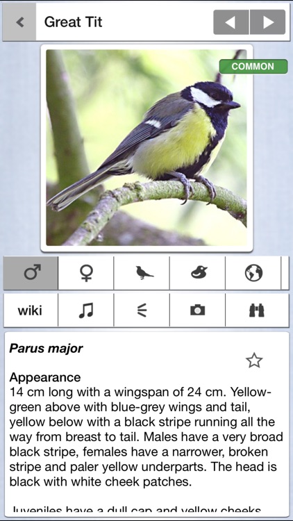 Birds of Britain Pocket Guide