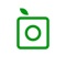 Instantly identify plants of all kinds: flowers, trees, succulents, mushrooms, cacti and more