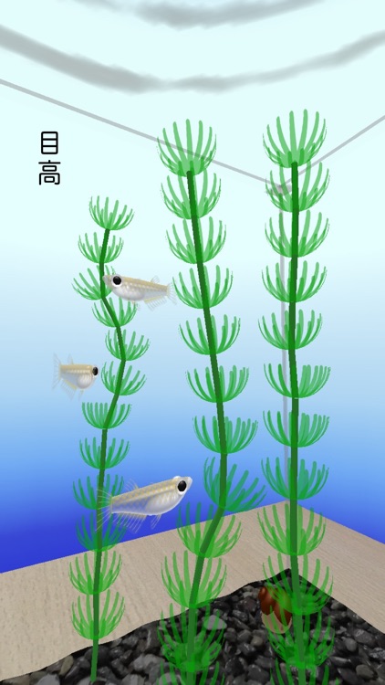 Rice Fish AR/VR screenshot-4