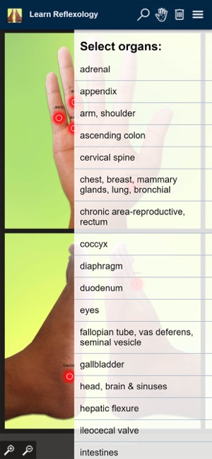 Reflexology Areas(圖2)-速報App