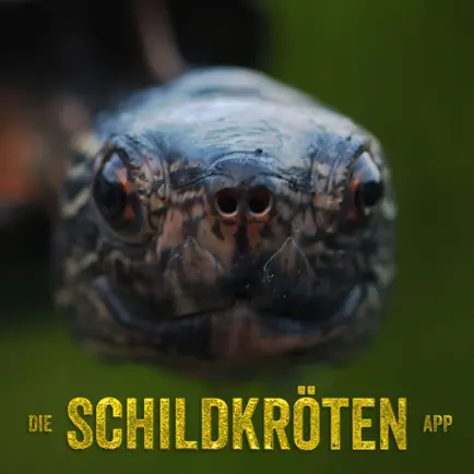 Die Schildkröten App Читы