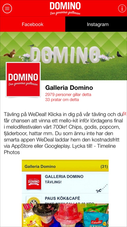 Galleria DOMINO Intern