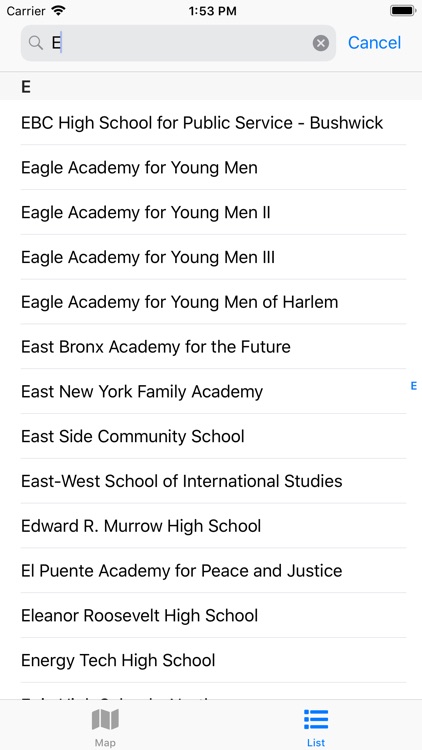 School in New York screenshot-4