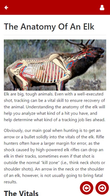 Elk101