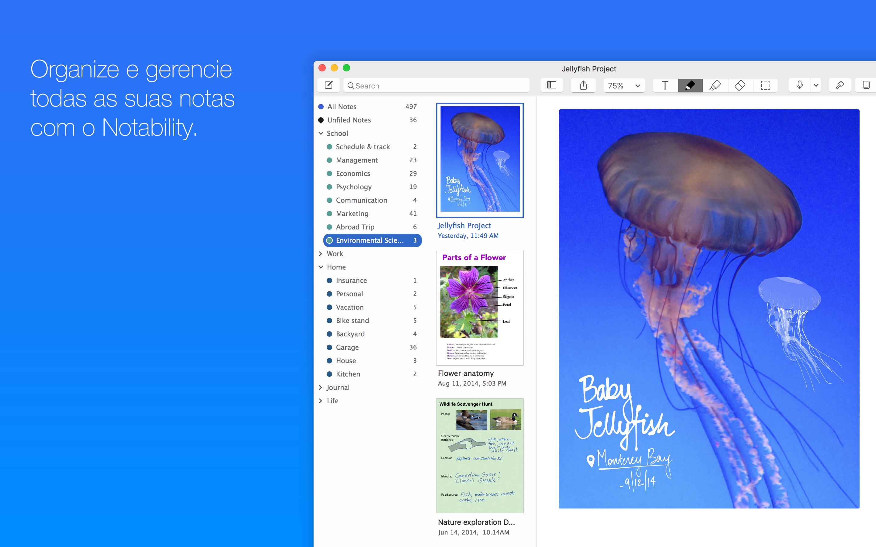 Screenshot do app Notability