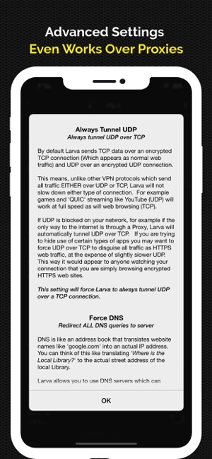 Larva VPN - Hide your IP(圖5)-速報App