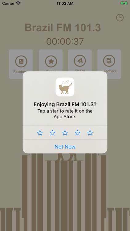 Brazil Music FM 101.3 screenshot-3