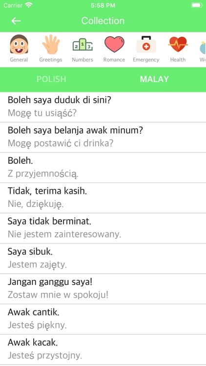 Polish Malay Dictionary