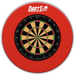 Darts Professional