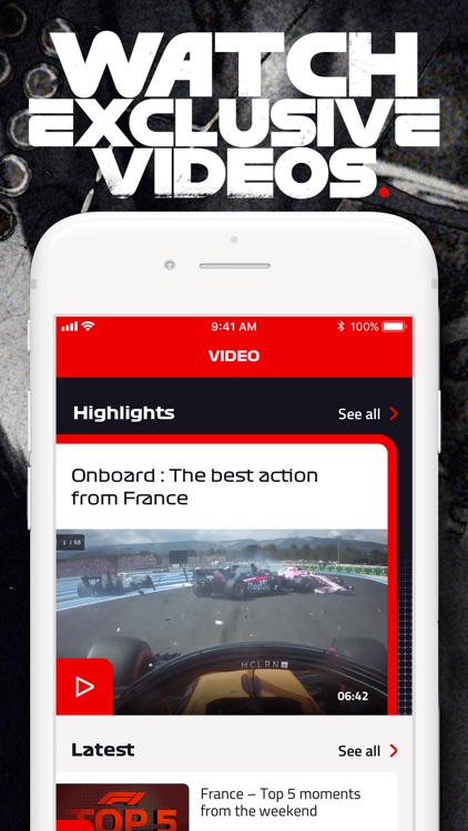 Formula 1® screenshot-4
