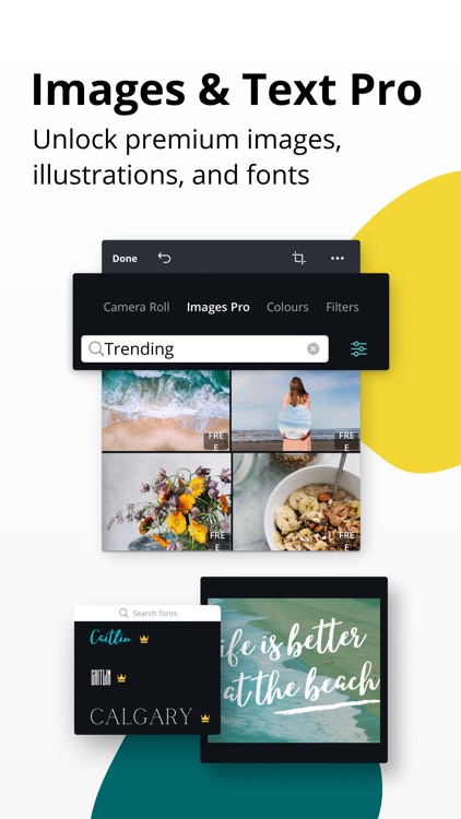 Canva - Graphic Design Creator screenshot-8