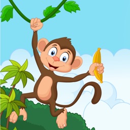 MONKEY HANGING