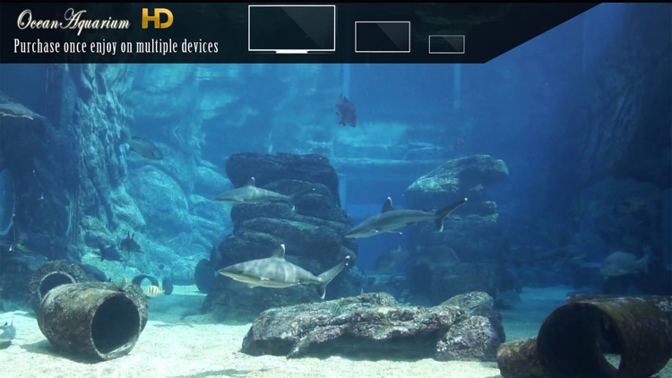 Ocean Aquarium HD