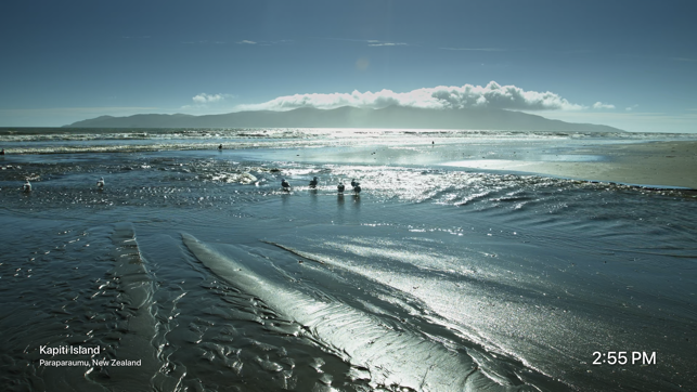 Beaches by Magic Window