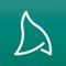 Make voice and video calls easier—and more securely—with a SIP softphone app that supports rich messaging, push notifications, HD voice and video, and more