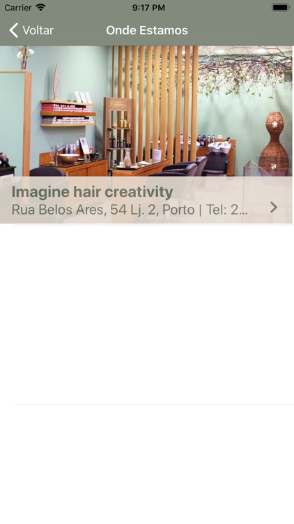 Imagine Hair Creativity screenshot-3