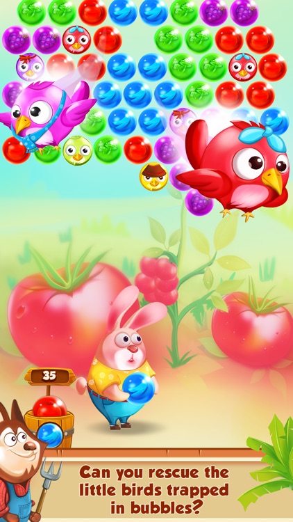 Bubble Farmer