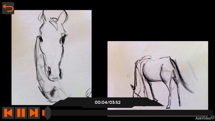 Drawing Techniques Course screenshot-3