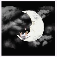 Sleep Sounds. sur PC