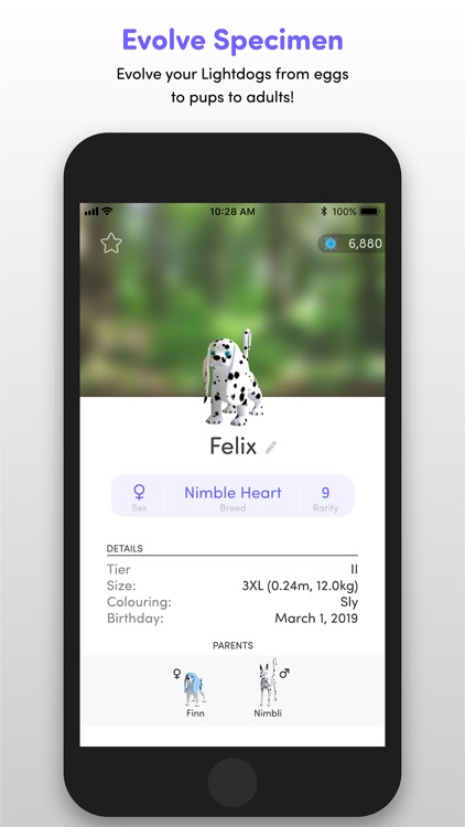 Lightdogs: Unplug & Focus screenshot-4