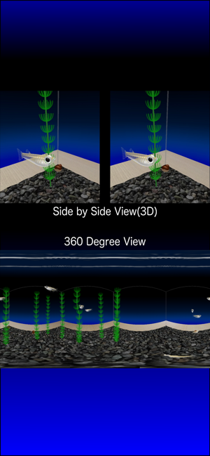 Rice Fish AR/VR(圖3)-速報App