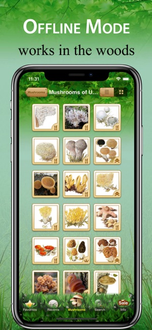 Mushroom Book & Identification(圖4)-速報App