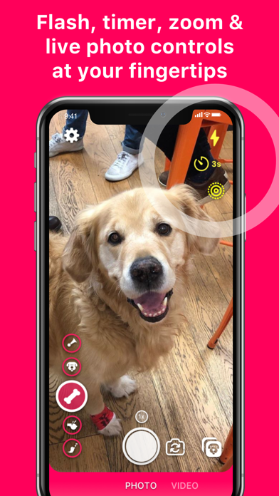 How to cancel & delete DogCam - Dog Selfie Camera from iphone & ipad 4