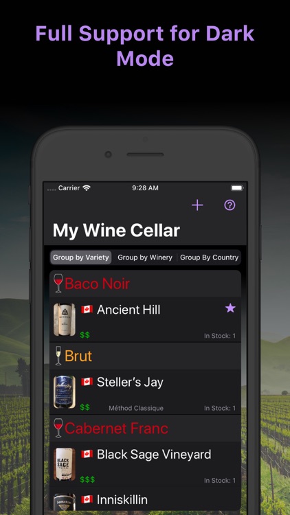 My Wine Cellar