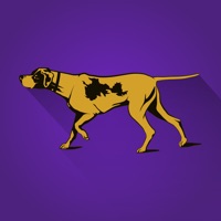 Westminster Dog Show app not working? crashes or has problems?