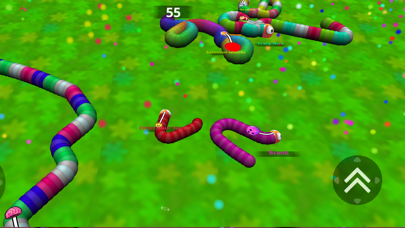Amaze Snake - Roller Race screenshot 4
