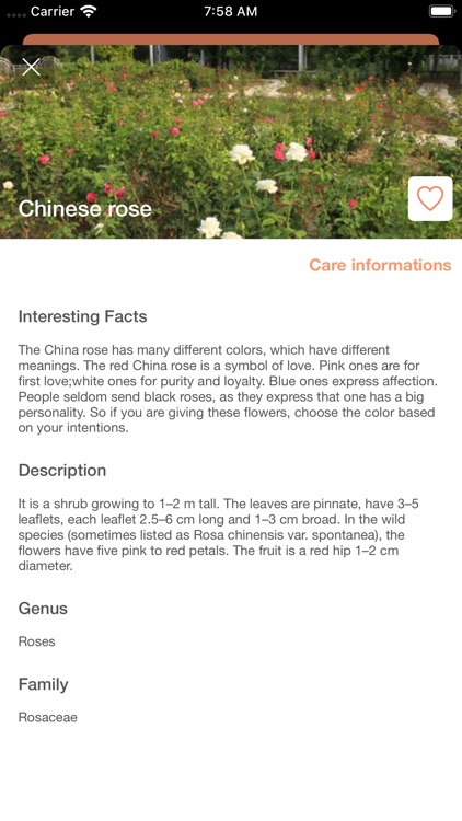 PlantDetect Lite - Identifier
